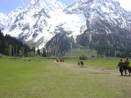 Sonmarg Excursion - 85Km 